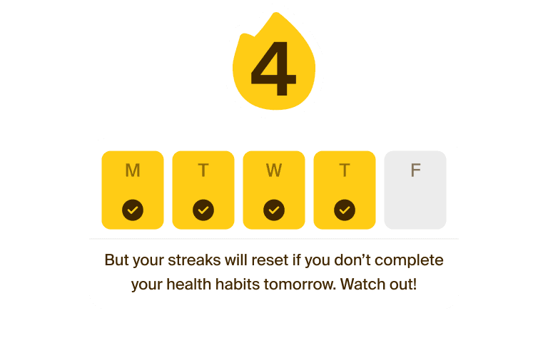 Gamification & Rewards